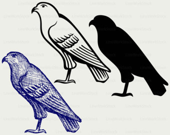 Harpy Eagle svg #6, Download drawings