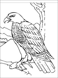 Harris's Hawk coloring #17, Download drawings