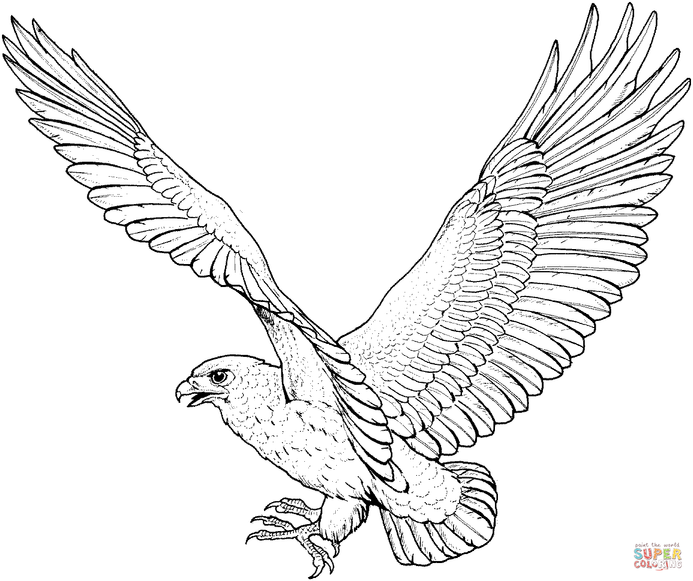 Red-tailed Hawk coloring #4, Download drawings