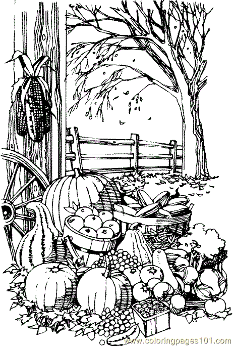 Harvest coloring #1, Download drawings