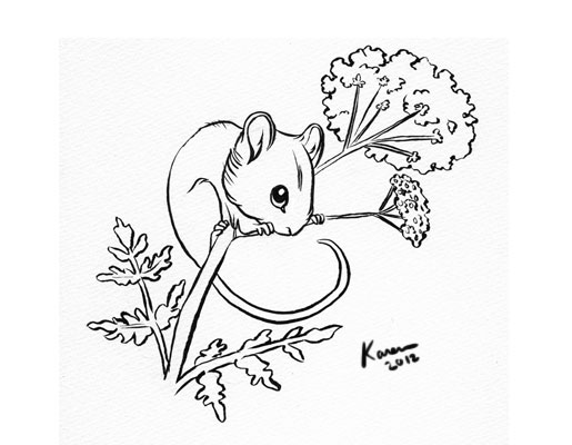 Harvest Mouse coloring #7, Download drawings