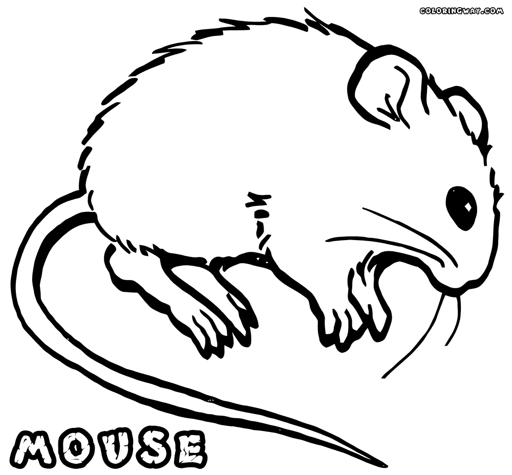 Harvest Mouse coloring #17, Download drawings