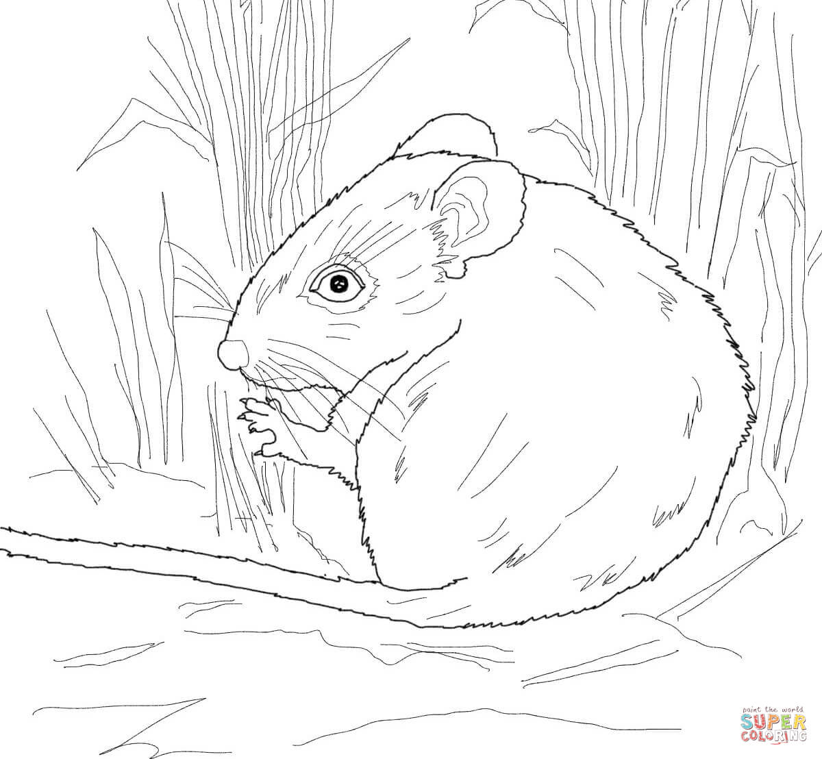 Harvest Mouse coloring #5, Download drawings