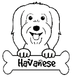 Havanese coloring #20, Download drawings