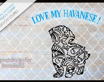 Havanese svg #12, Download drawings