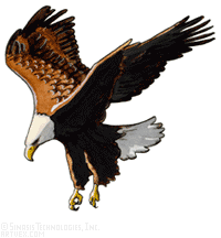 Hawk clipart #19, Download drawings