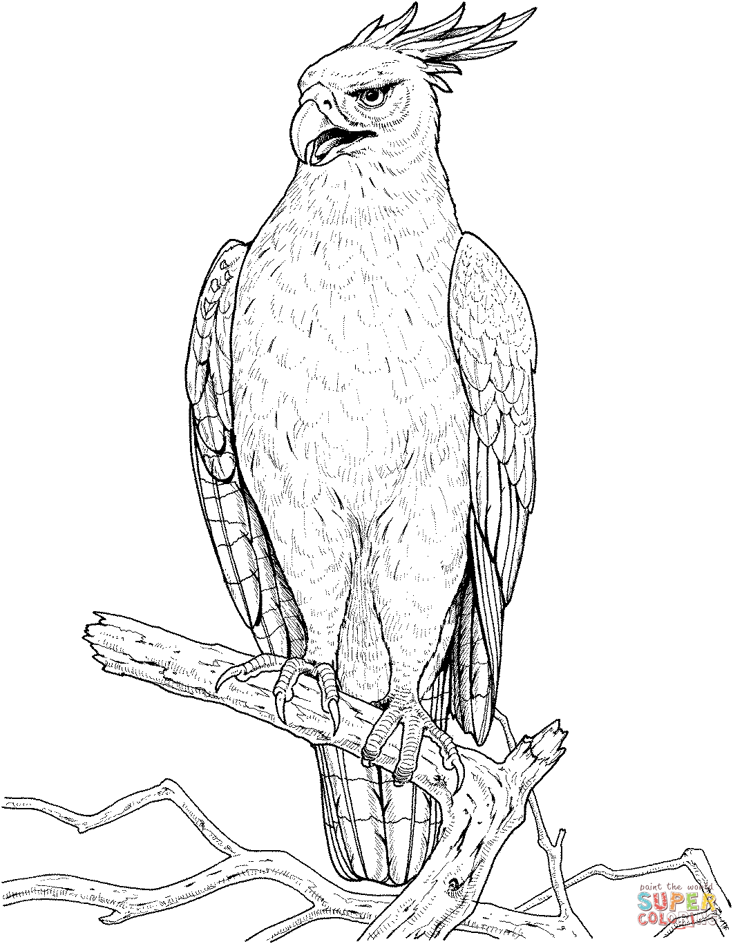 Hawk coloring #15, Download drawings
