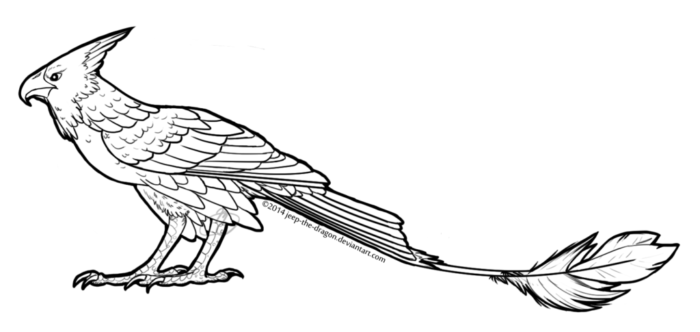 Hawk coloring #18, Download drawings