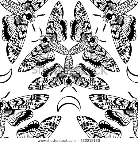 Hawk Moth coloring #9, Download drawings