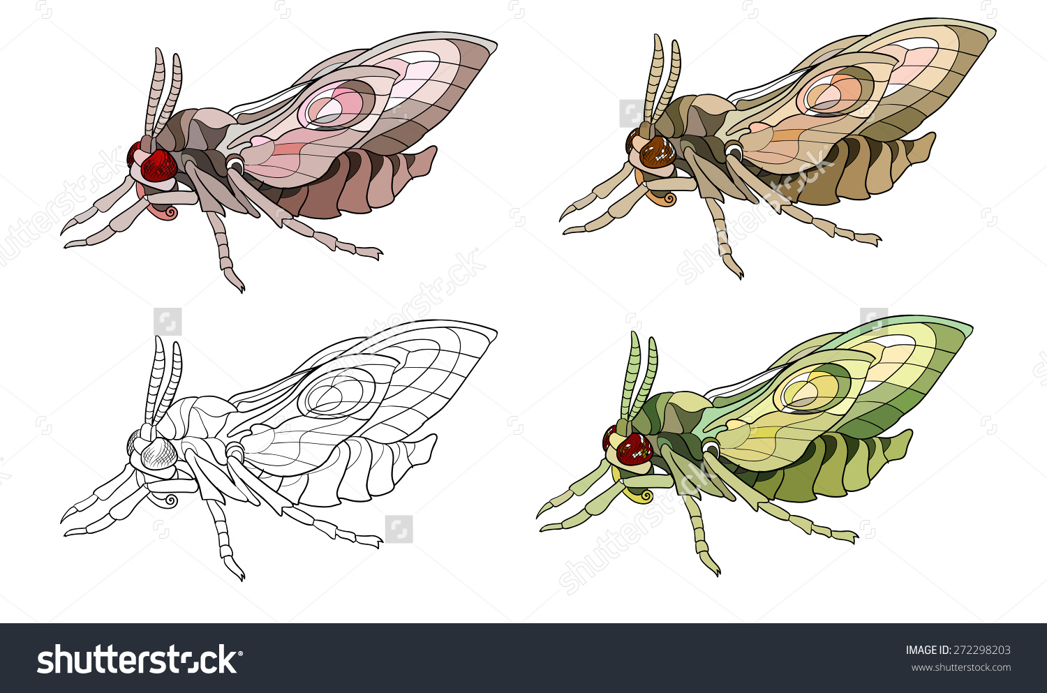 Hawk Moth coloring #8, Download drawings