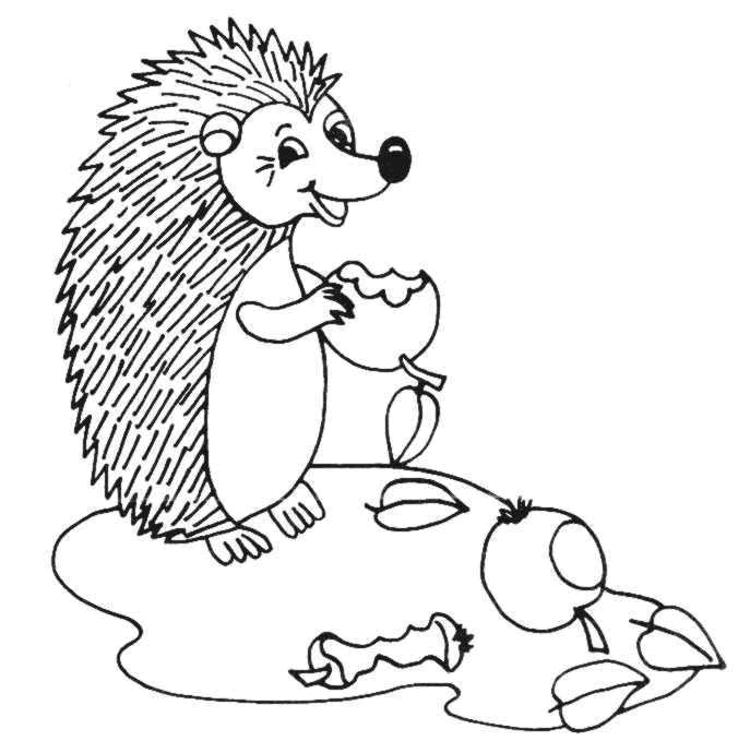 Hedgehog coloring #15, Download drawings