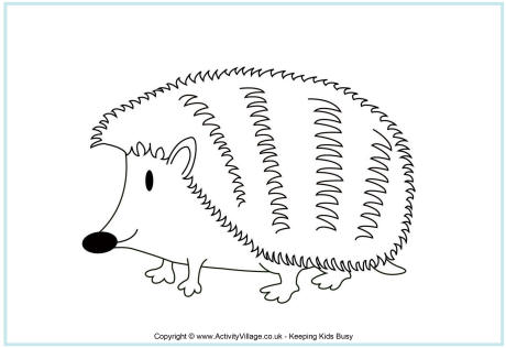 Hedgehog coloring #16, Download drawings