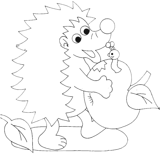 Hedgehog coloring #3, Download drawings