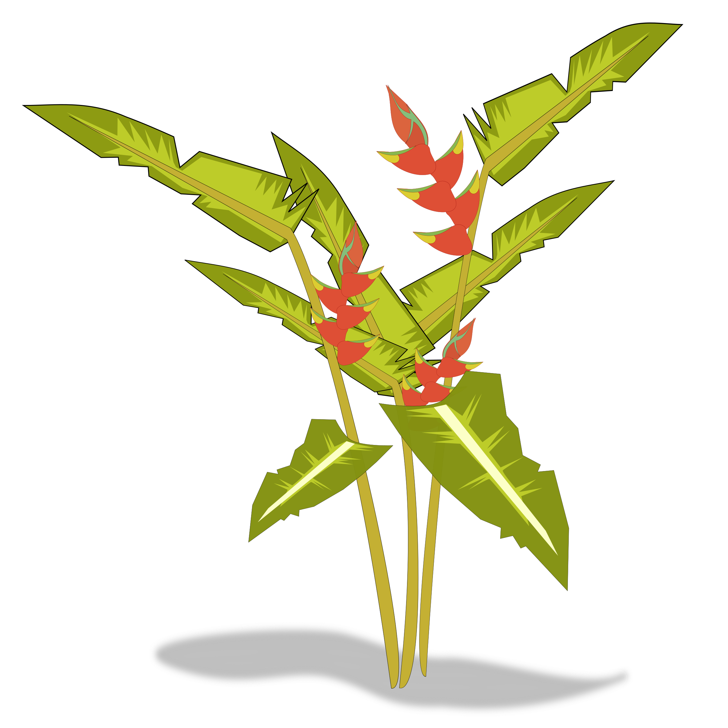 Heliconia clipart #9, Download drawings