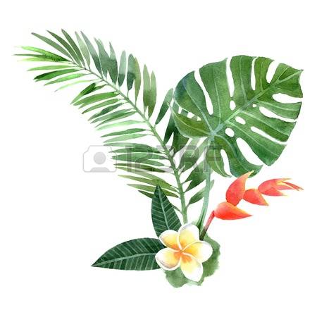 Heliconia clipart #6, Download drawings