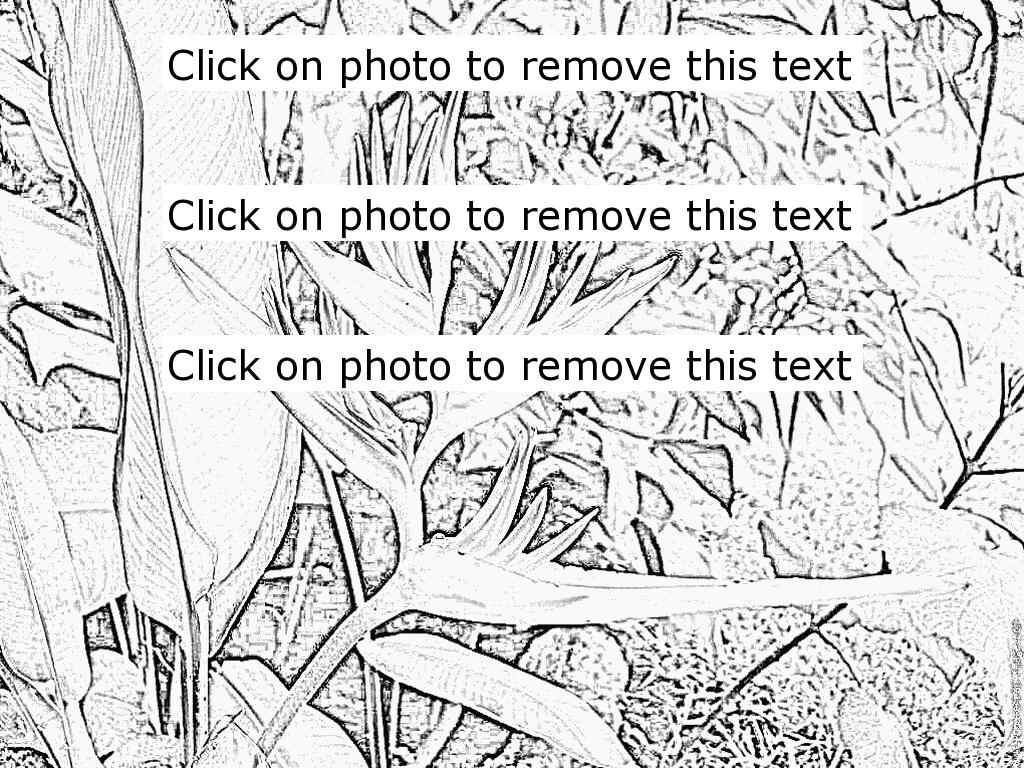 Heliconia coloring #19, Download drawings