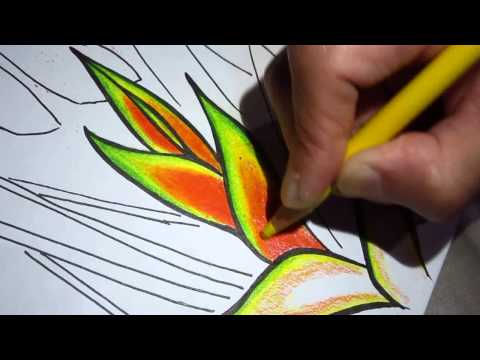 Heliconia coloring #9, Download drawings