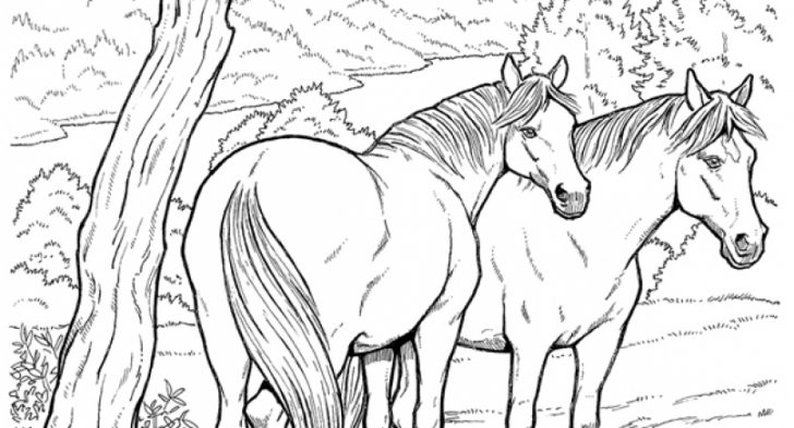 Herd coloring #14, Download drawings