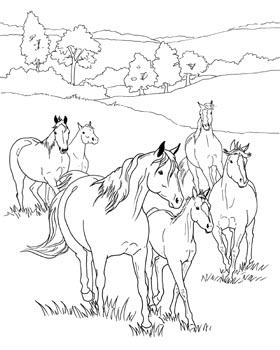 Herd coloring #1, Download drawings