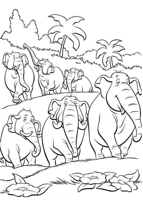 Herd coloring #3, Download drawings