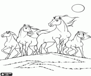 Herd coloring #9, Download drawings