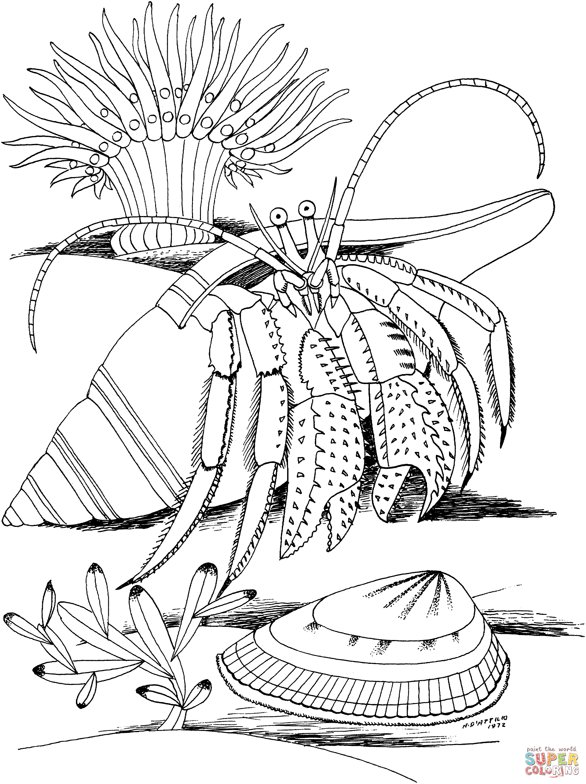 Hermit Crab coloring #19, Download drawings