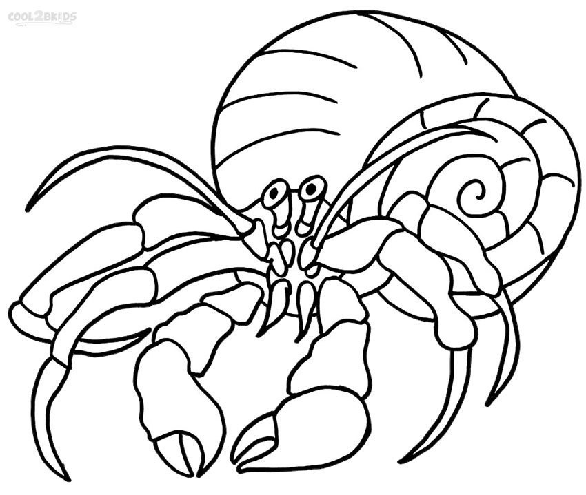 Hermit Crab coloring #6, Download drawings