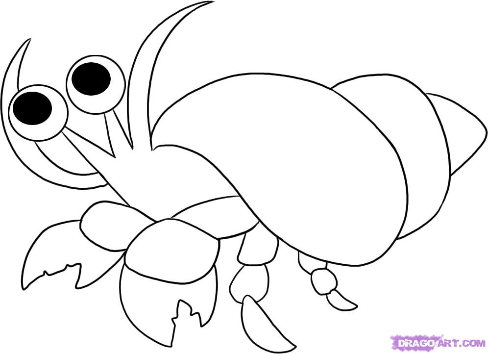 Hermit Crab coloring #7, Download drawings