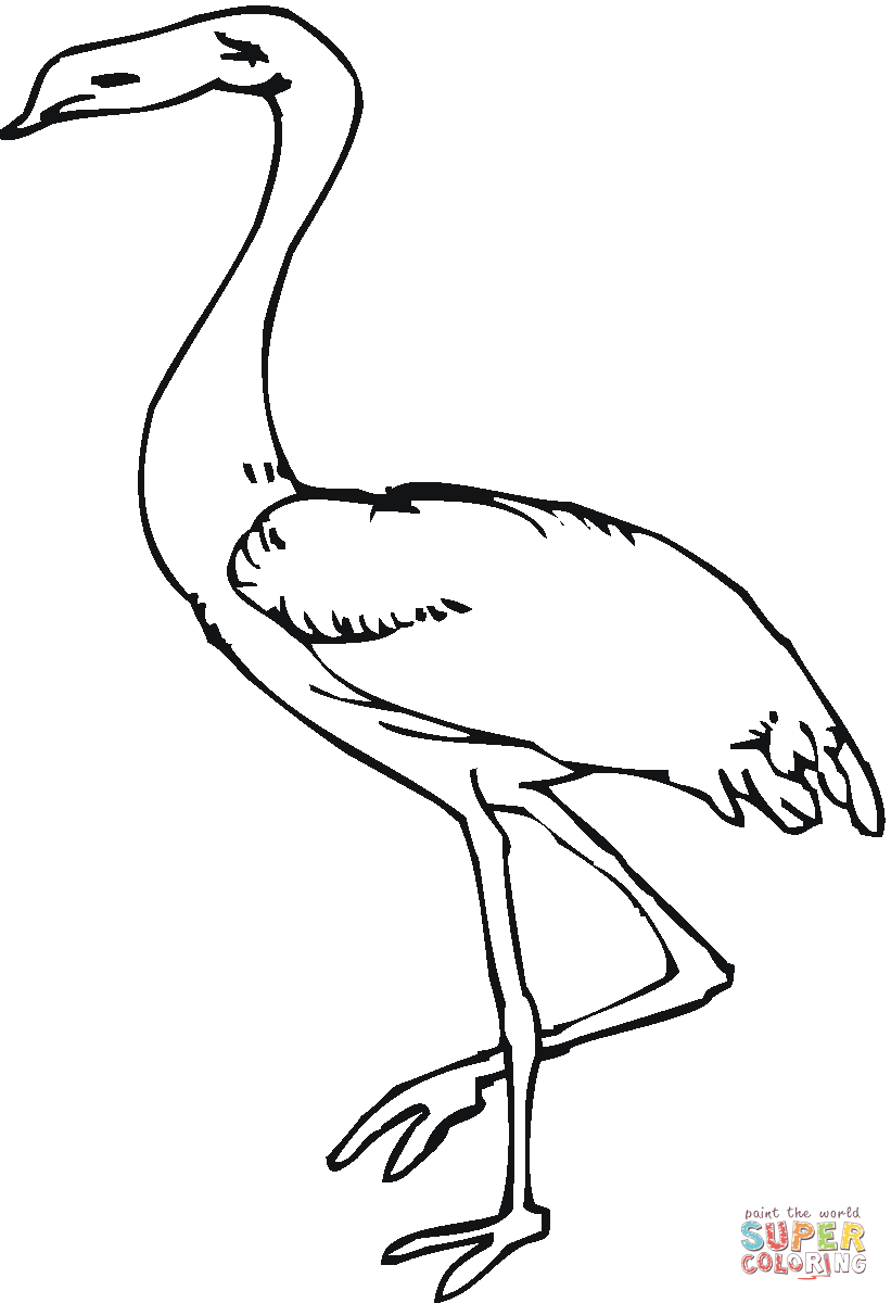 Heron coloring #19, Download drawings