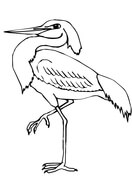 Heron coloring #17, Download drawings
