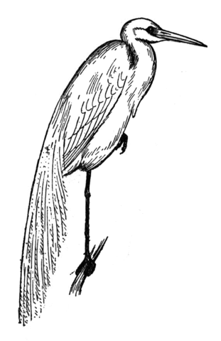 Heron coloring #20, Download drawings