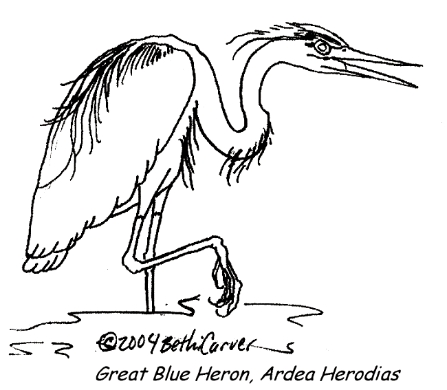Heron coloring #10, Download drawings