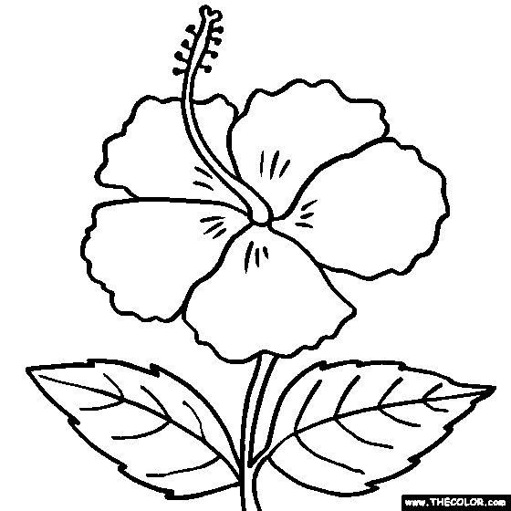 Hibiscus coloring #20, Download drawings