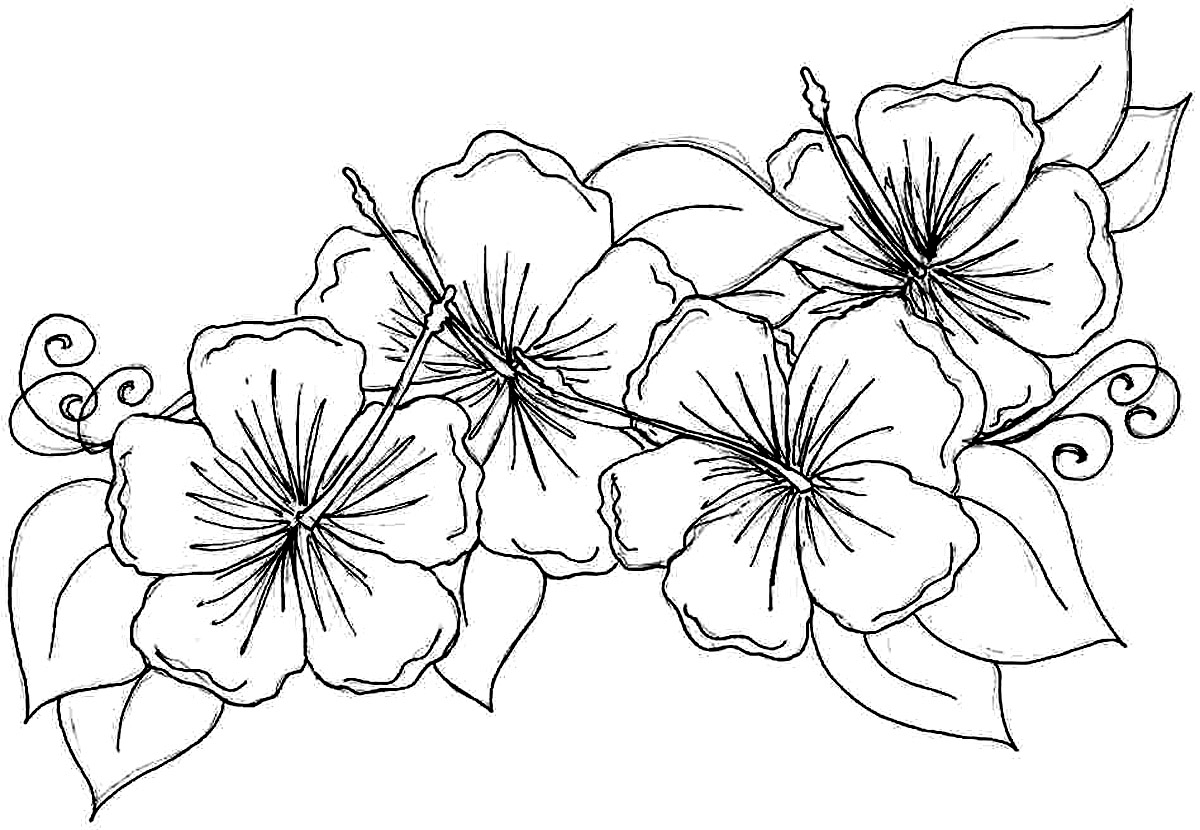 Hibiscus coloring #6, Download drawings