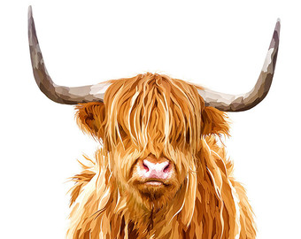 Highland Cattle svg #15, Download drawings