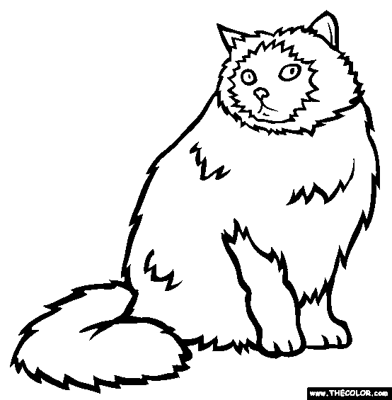 Himalayan Cat coloring #2, Download drawings