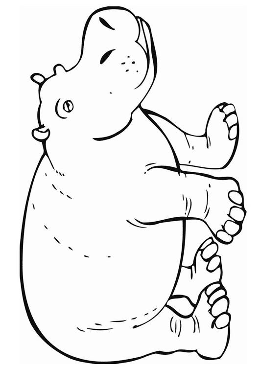 Hippo coloring #14, Download drawings
