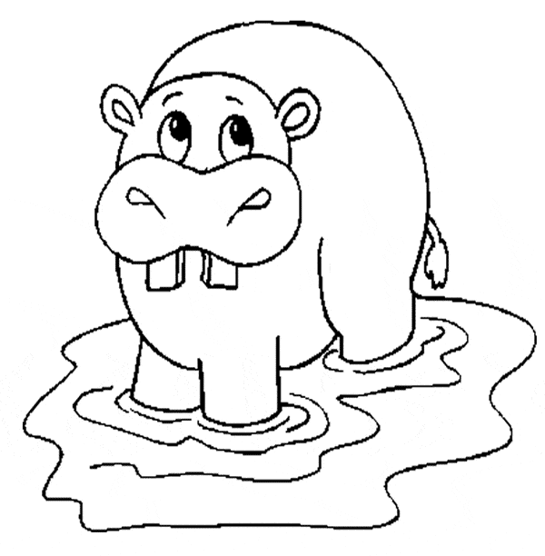 Hippo coloring #7, Download drawings