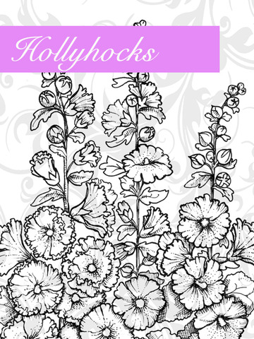 Hollyhocks coloring #15, Download drawings