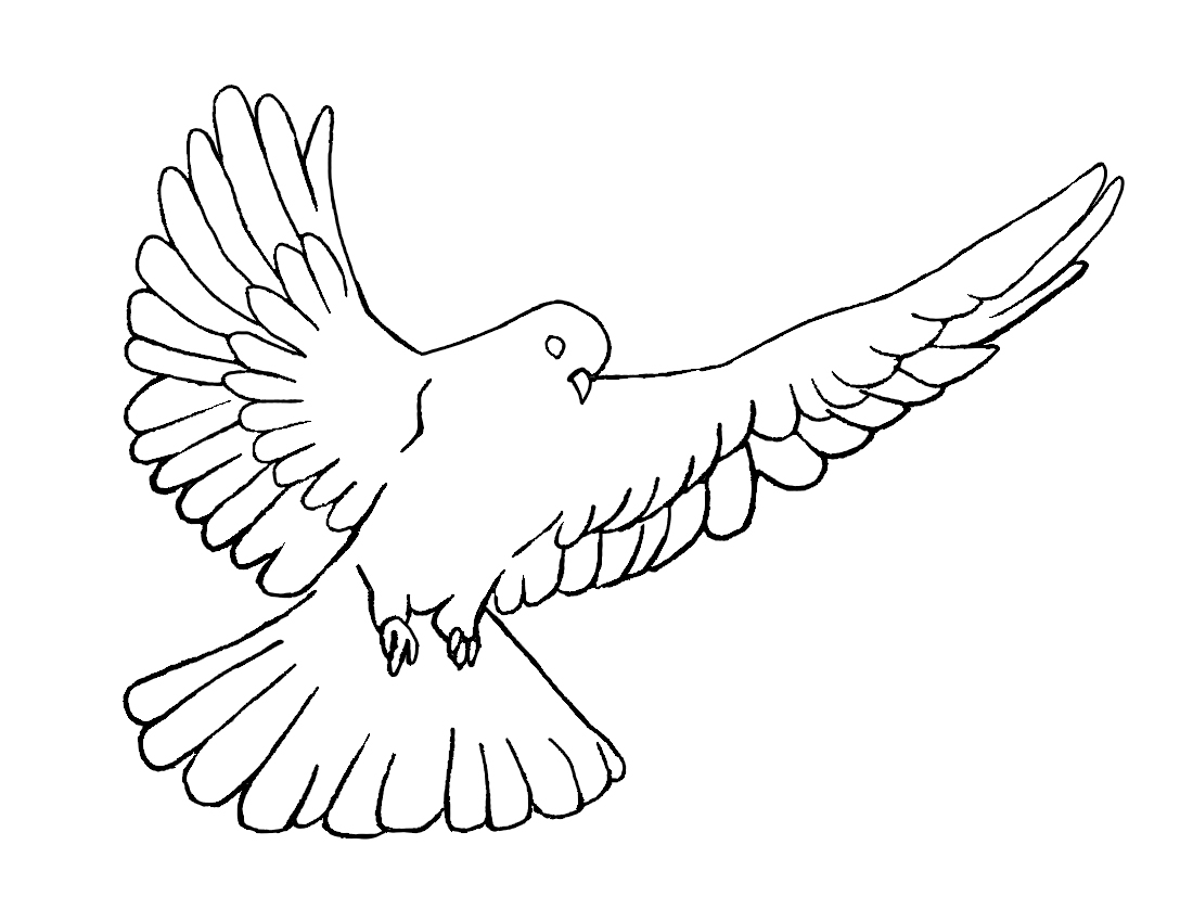 White Dove coloring #4, Download drawings