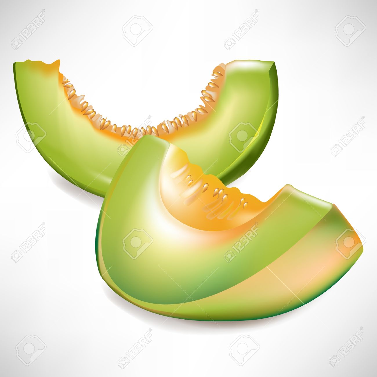 Honey Dew Melon clipart #6, Download drawings