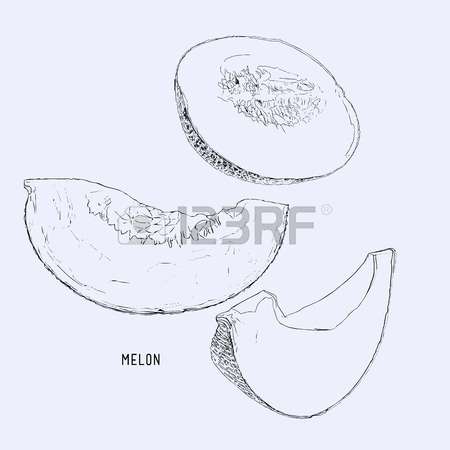 Honey Dew Melon coloring #13, Download drawings