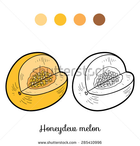 Honey Dew Melon coloring #19, Download drawings