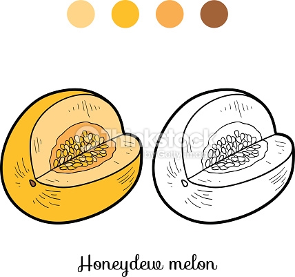 Honey Dew Melon coloring #6, Download drawings