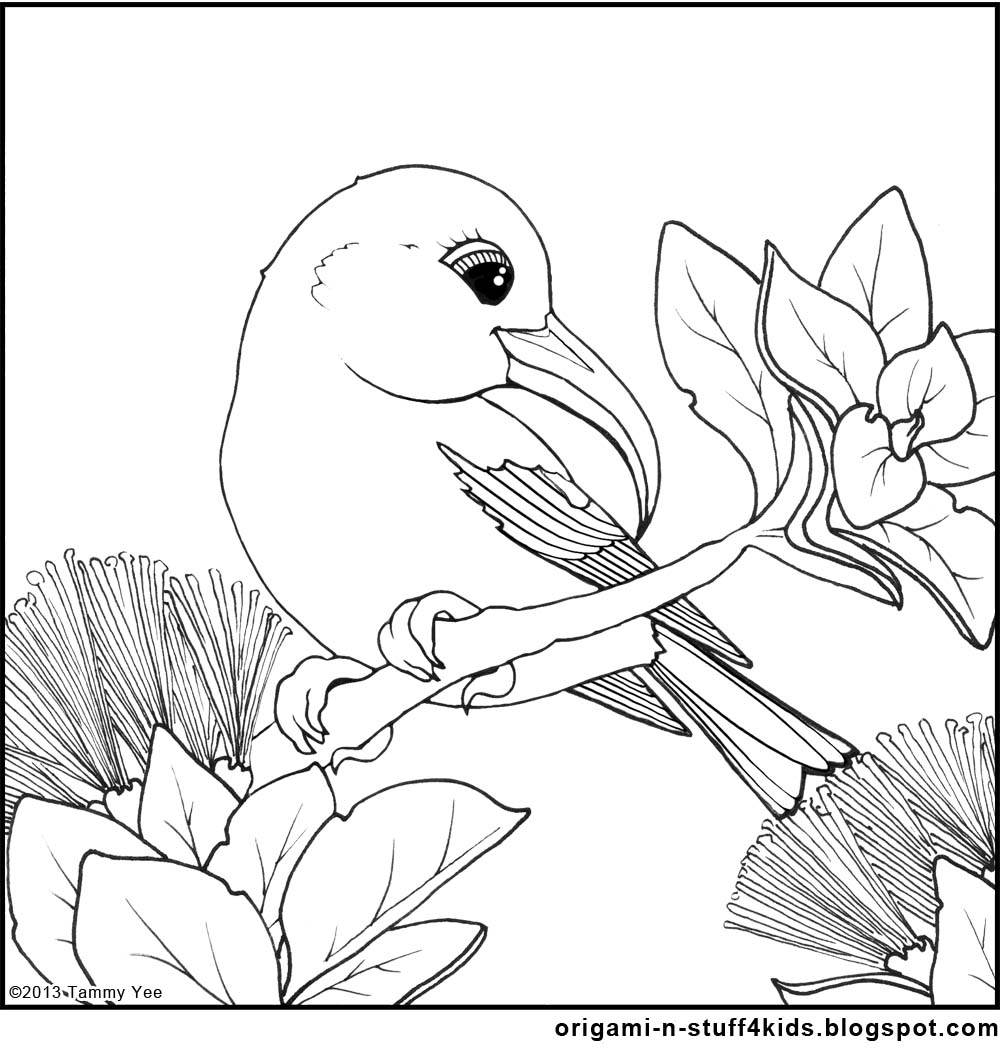 Honeycreeper coloring #20, Download drawings