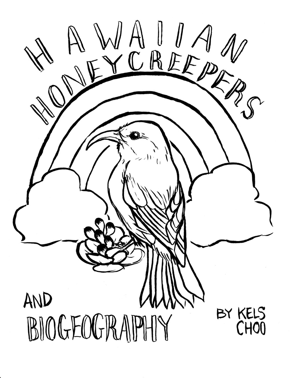 Honeycreeper coloring #6, Download drawings