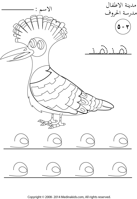Hoopoe  coloring #11, Download drawings