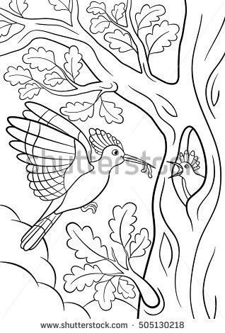 Hoopoe  coloring #16, Download drawings