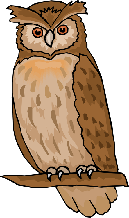 Hoot clipart #18, Download drawings