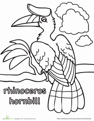 Rhinoceros Hornbill coloring #20, Download drawings
